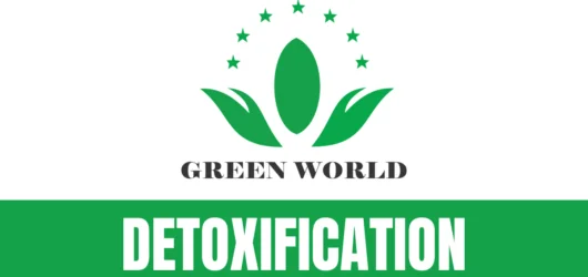 Detoxification: Why Your Body Needs a Reset and How to Do It Right
